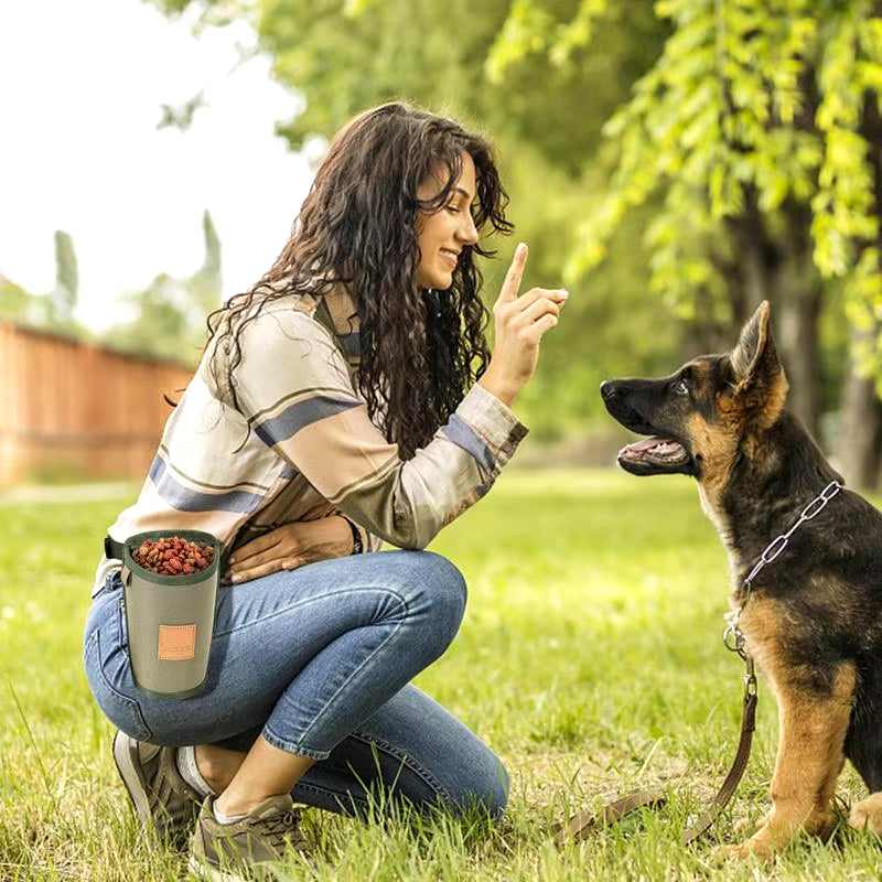 Portable Dog Treat Bag Puppy Training Treat Snack Bag Large Capacity Dog Training Snack Reward Waist Bag Pet Feed Pocket